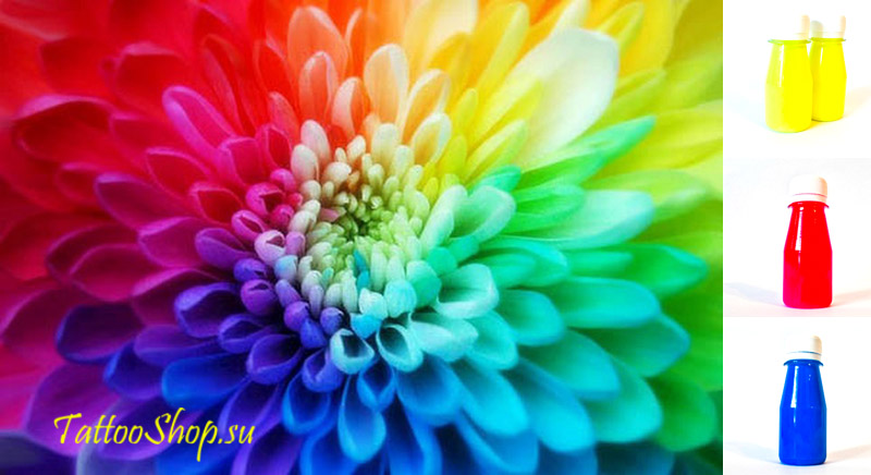 ������ ��� ��������